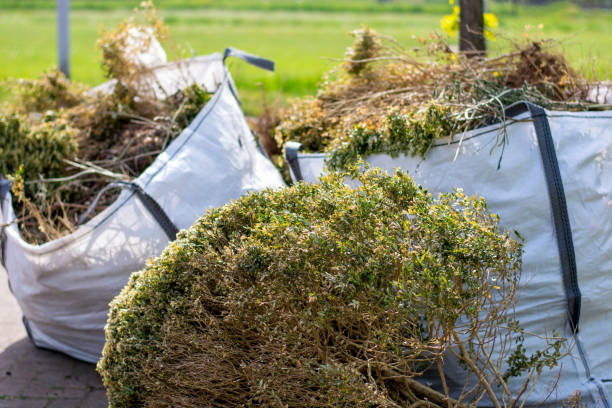 Yard Cleanup Services in La Feria, TX